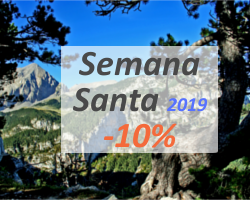 gallery/semana santa 2019