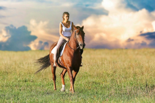 gallery/caballos1-min
