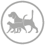 gallery/mascotas