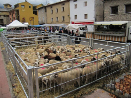 gallery/feria-castejón-de-sos-ganado-ovejas_150100