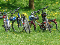 gallery/bicicleta1-min